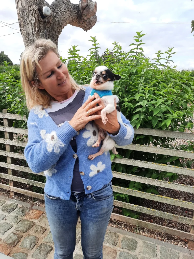 Taxi Pet Chine Belgique lors des retrouvailles entre un Chihuahua adopté et sa nouvelle propriétaire en Belgique.