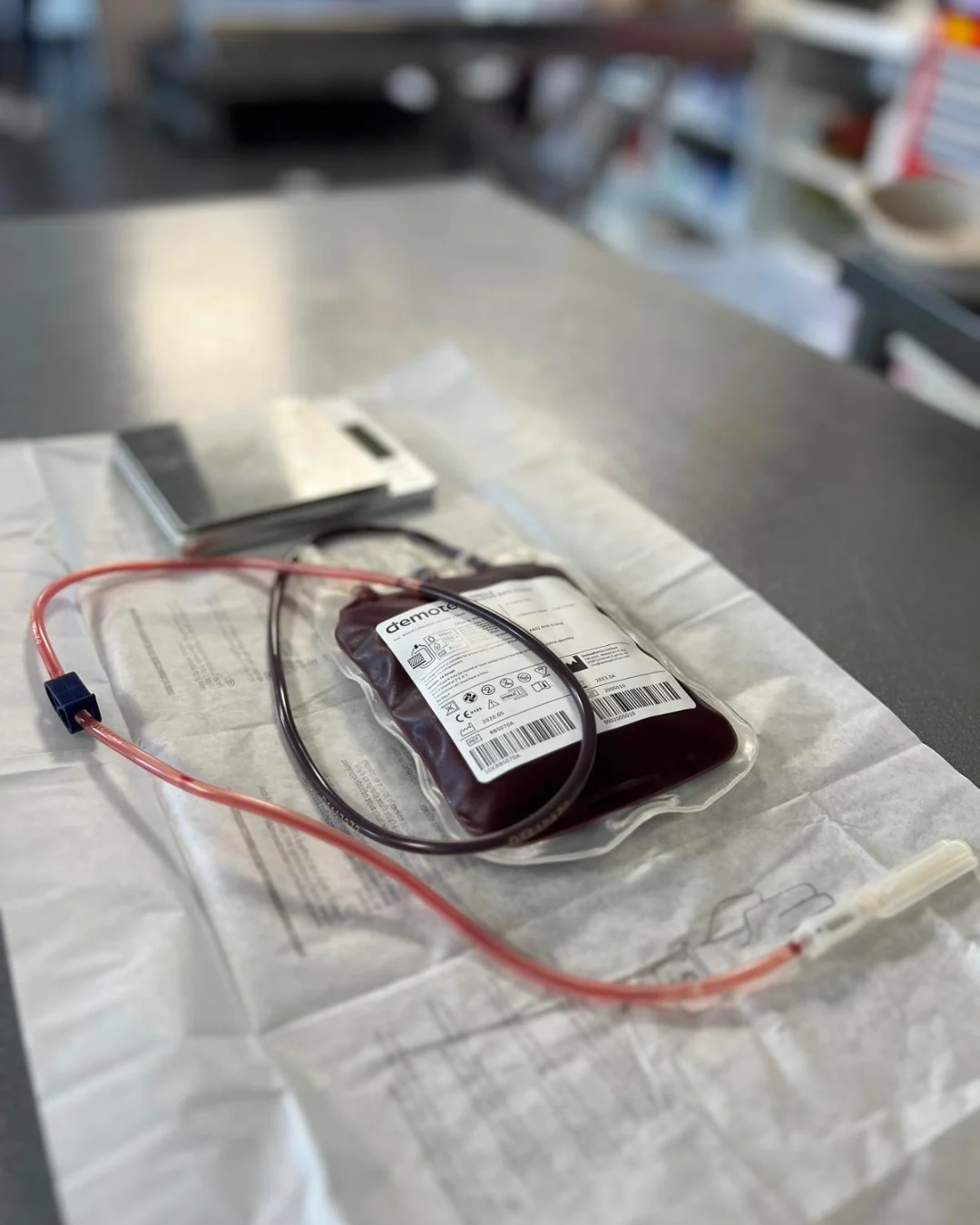 Una sacca di sangue raccolto su una bilancia durante un prelievo veterinario