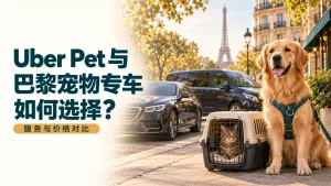 巴黎街头,一只佩戴胸背带的狗和宠物箱内的猫位于车辆旁,背景是埃菲尔铁塔。